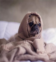 呼伦贝尔有这样的手机号码，留不住钱，你中枪了吗？