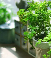 呼伦贝尔专属于你的开运指南，助你鸿运当头福满身！