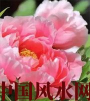 呼伦贝尔预示你财运上升，姻缘可成的梦境，快来看看吧！