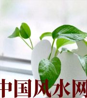 呼伦贝尔家中摆放六种吉祥物，会打开您的财运大门！