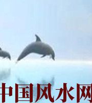 呼伦贝尔做梦梦到这些，是要富裕的征兆！